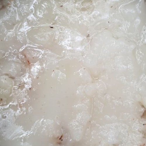 Deteksi Citra Getah Pinus
